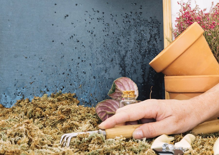 Bed bug proz pest control in Berea, KY