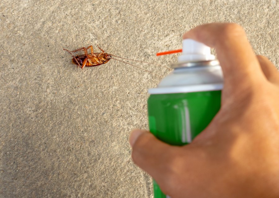 Pest treatment in Butler, PA