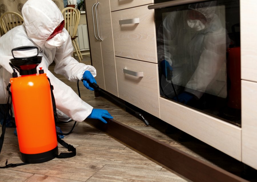 Pest treatment in Bellefontaine, OH