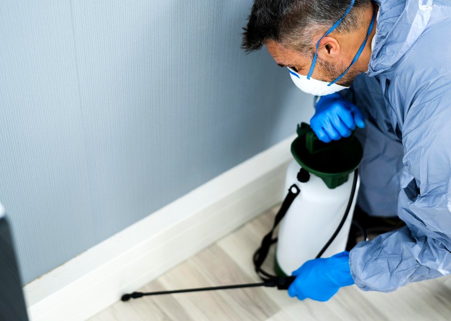 Bugged Out Pest Control pest control work in Brookville