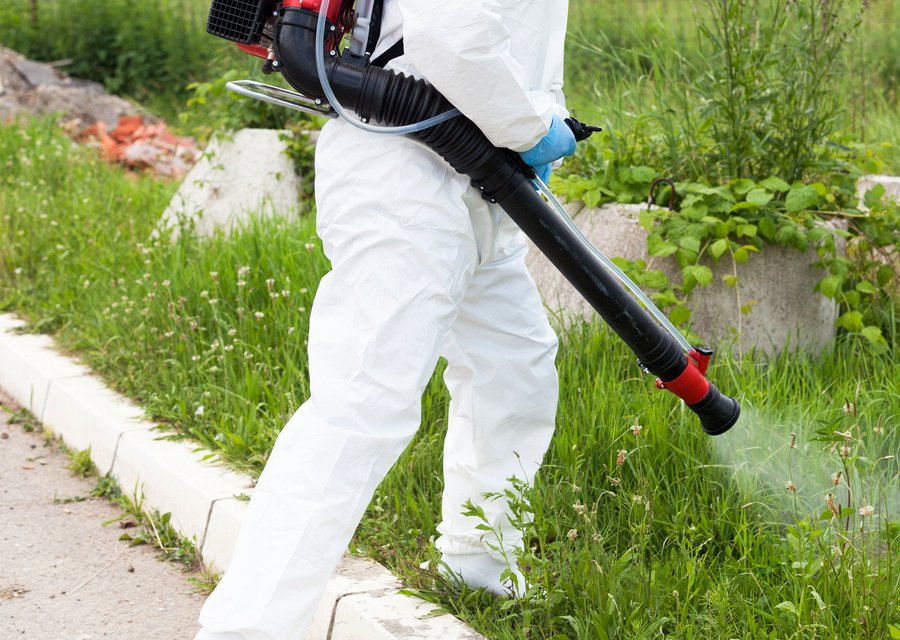 Pest treatment in Brookville, IN