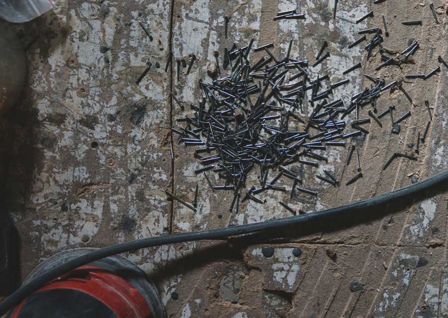 Pest treatment in Chestnut Hill, PA