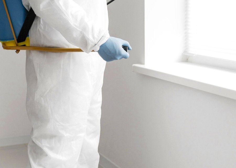 Local exterminator Chestnut Hill