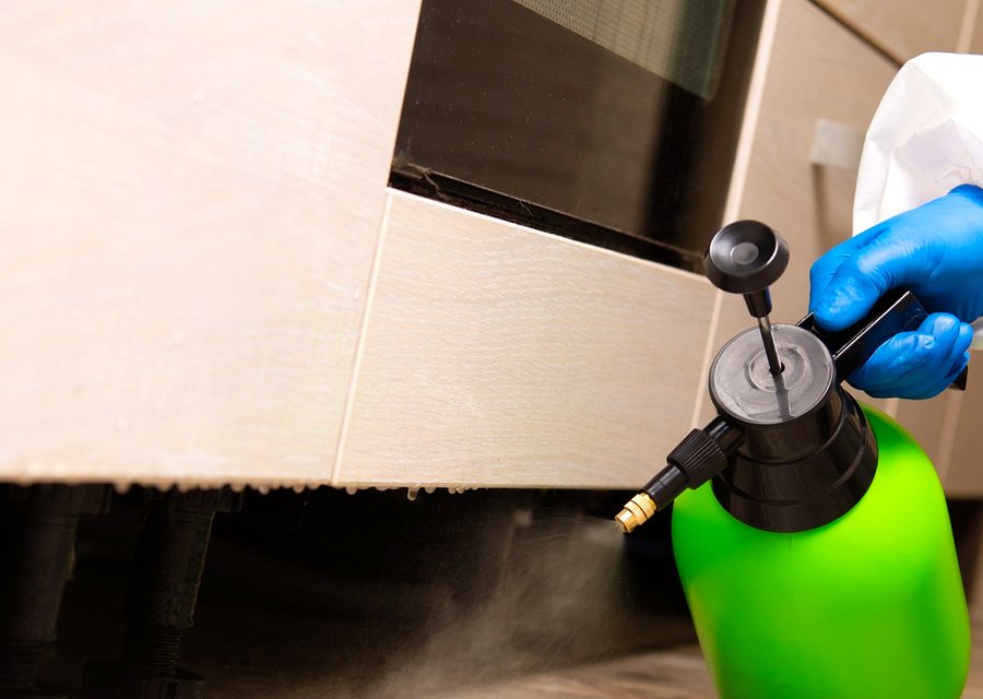 Pest treatment in Finleyville, PA