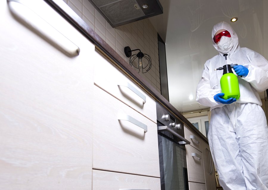 Pest treatment in Elma, NY