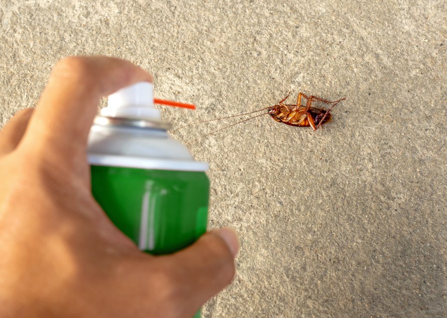 Ed Edelmayer Termite & Pest pest control work in Bloomington