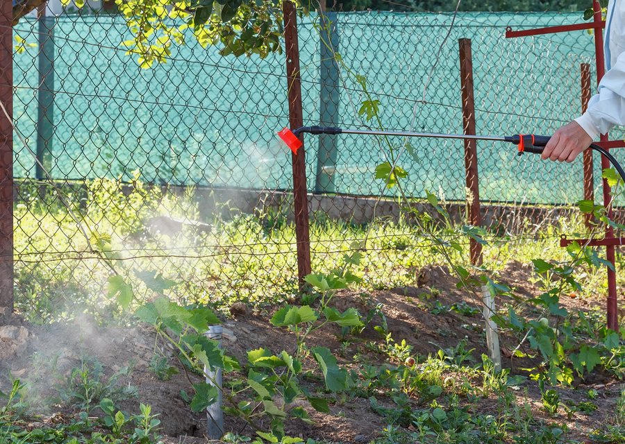 EcoCrew LLC pest control work in Bourbonnais