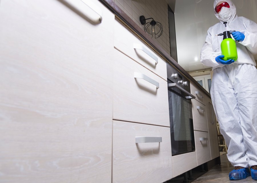 Pest treatment in Des Plaines, IL