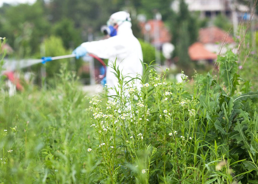 Evolution Pest and termite pest control work in Grabill