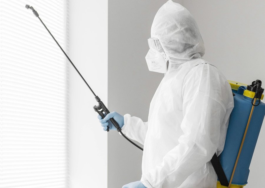 Pest treatment in Grabill, IN