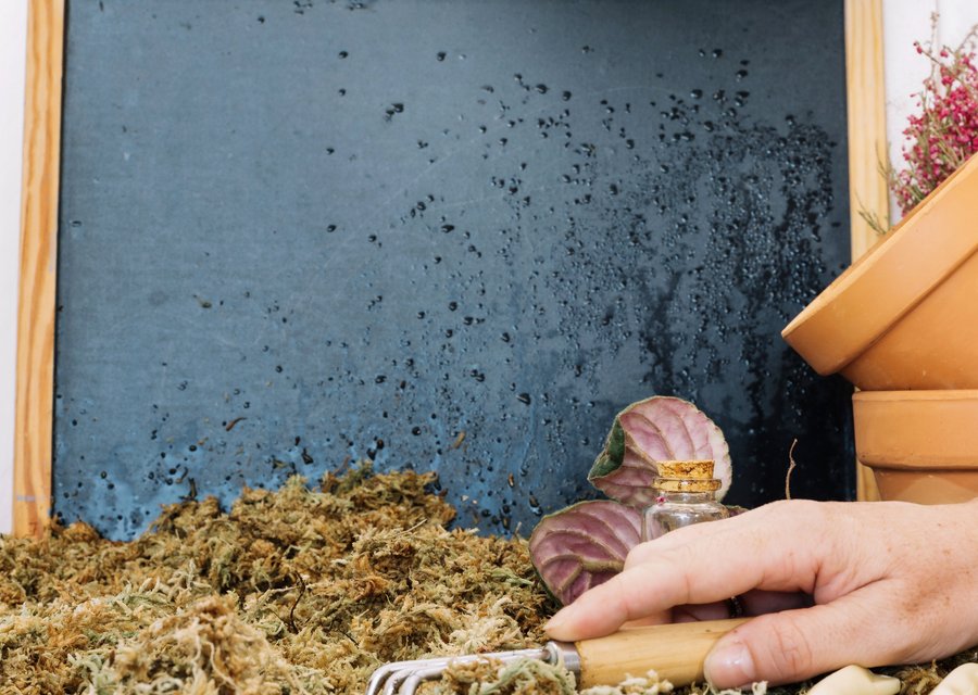 Bear's Pest Control pest control work in Los Angeles