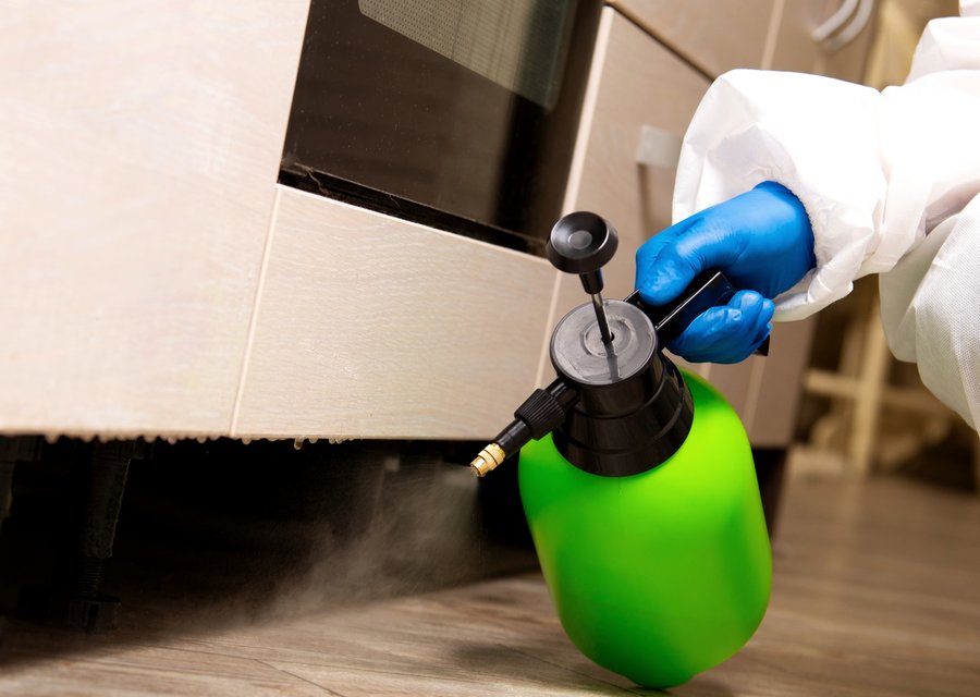 Lewistown Pest Control pest control work in Arcade