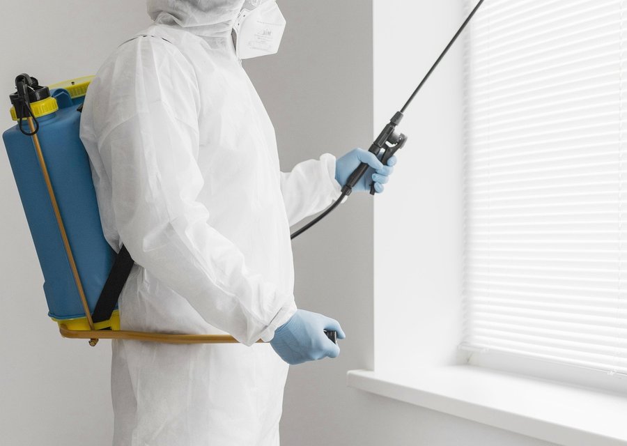Pest treatment in Arcade, NY