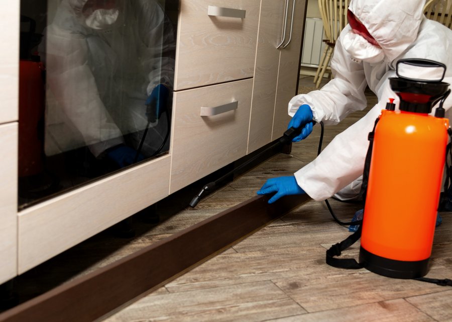 Local exterminator Batesville