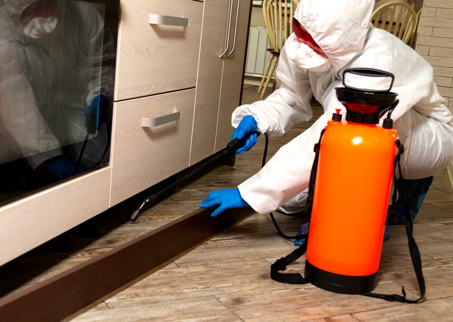 Local exterminator Dundalk
