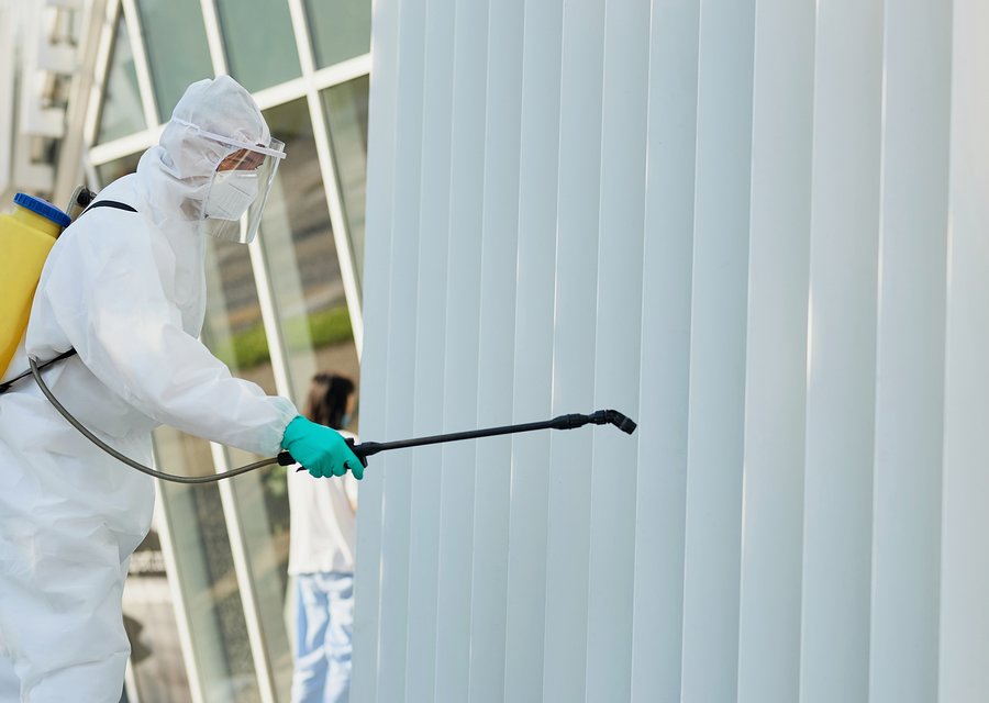 Pest treatment in Celina, OH