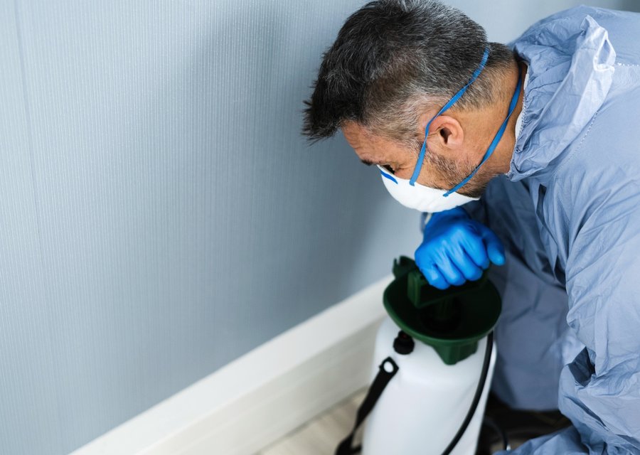 E & J Termite & Pest Control pest control work in Channelview