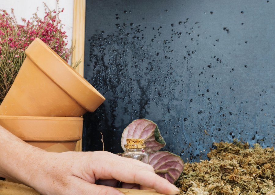 Buggin' Out Pest Control pest control work in Ephrata