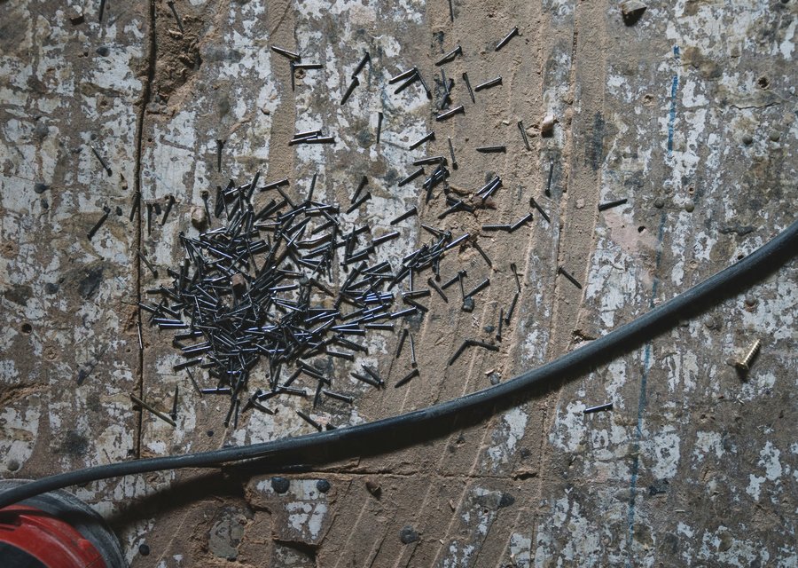 Pest treatment in Batesburg-Leesville, SC