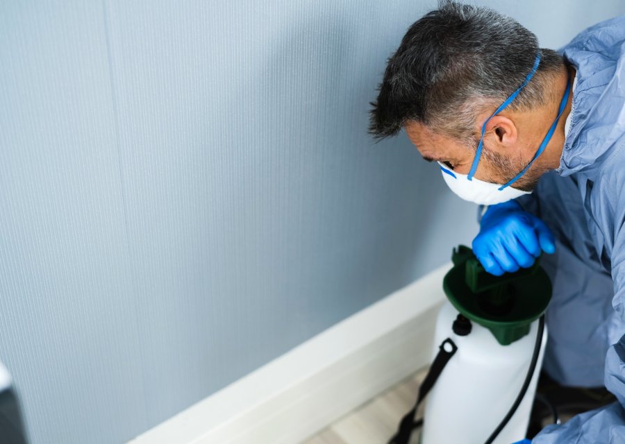 Absolut Pest Control pest control work in Campbellsville