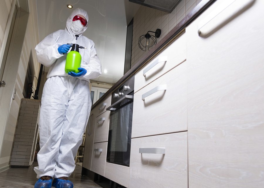 Pest treatment in Amity, PA