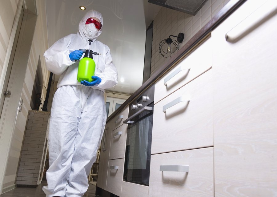 Bed Bug Heat Doctor pest control work in North Strabane