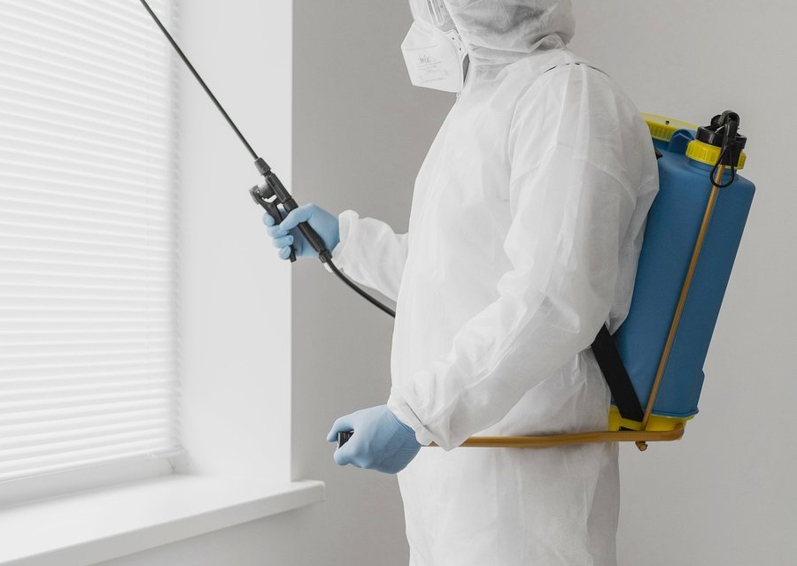 Pest treatment in Colleyville, TX