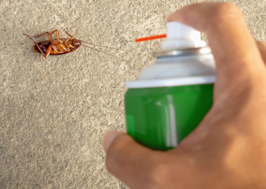 Local exterminator Colleyville