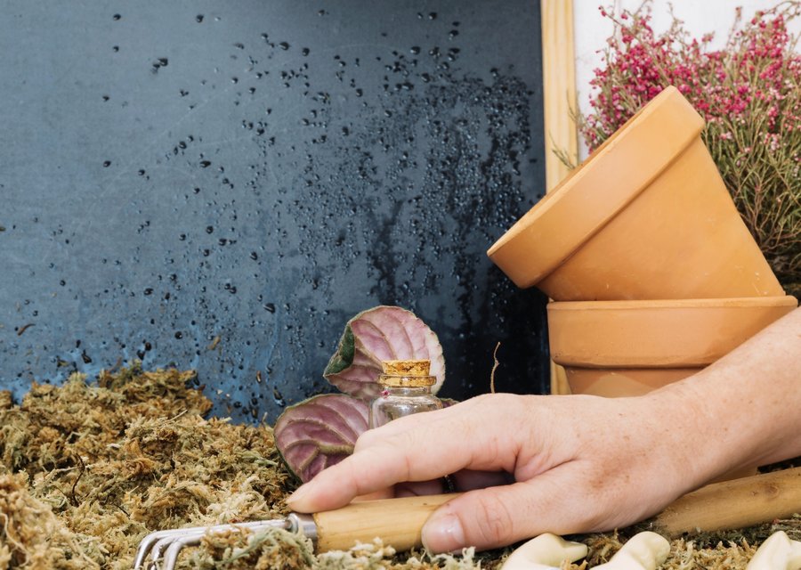 Local exterminator Alsip
