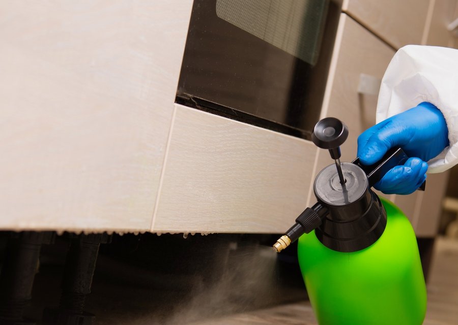 Pest treatment in Clifton, PA