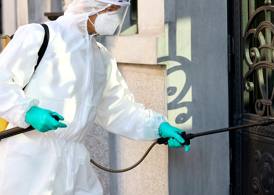 Local exterminator Clifton
