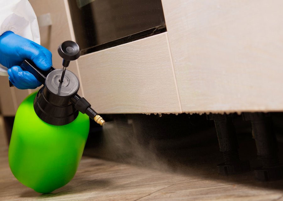 Pest treatment in Baroda, MI