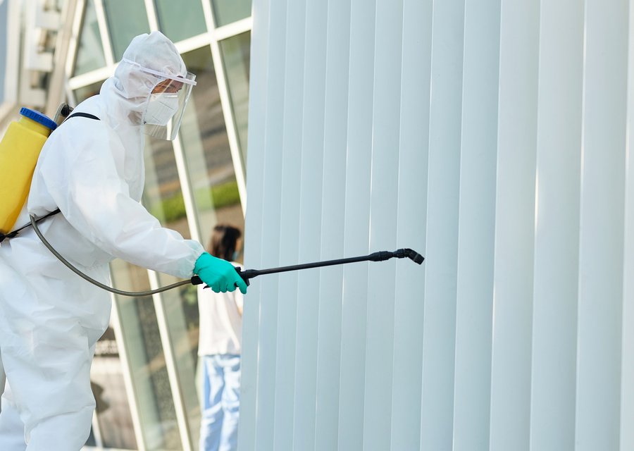 Local exterminator Culver City
