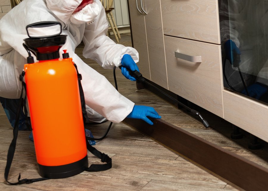 Ladner's Pest & Termite Control pest control work in Corsicana