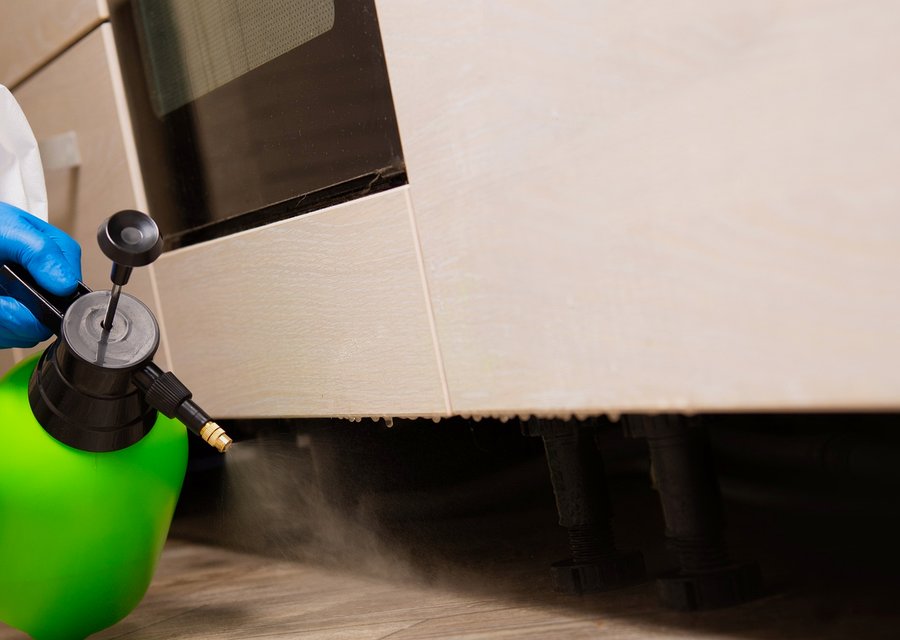 Pest treatment in Fairfield, NJ