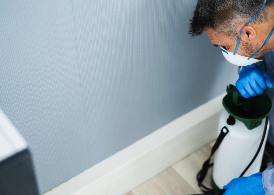 Local exterminator Grand Rapids