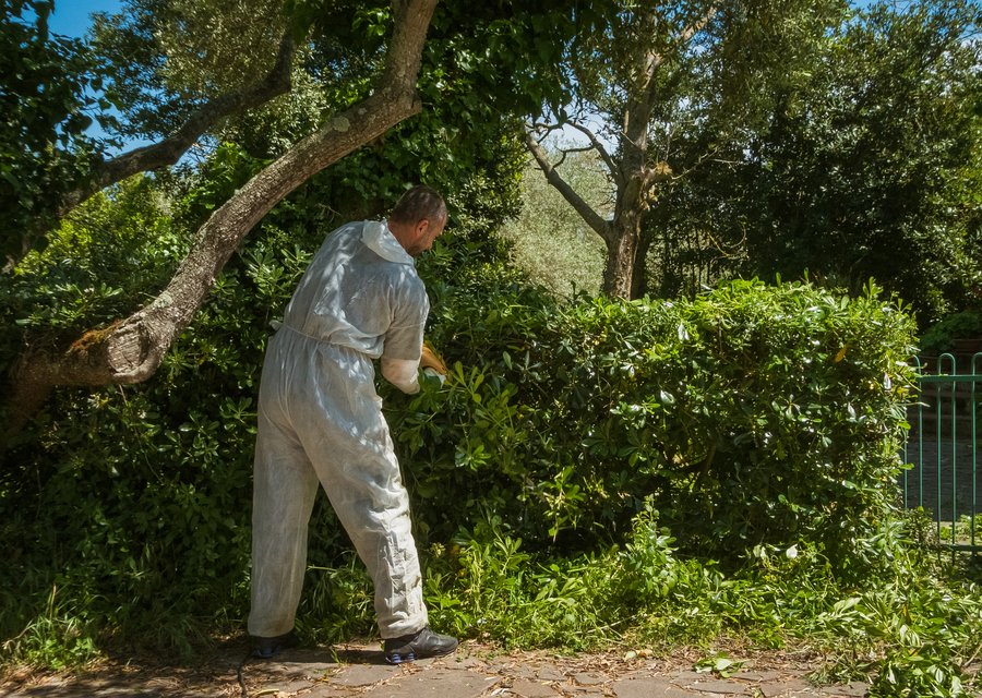 Eliminate 'Em Pest Control Services pest control work in Frackville