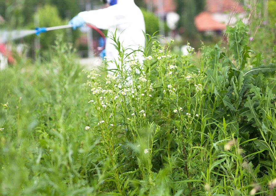 Palladin Pest Control LLC pest control work in Catonsville