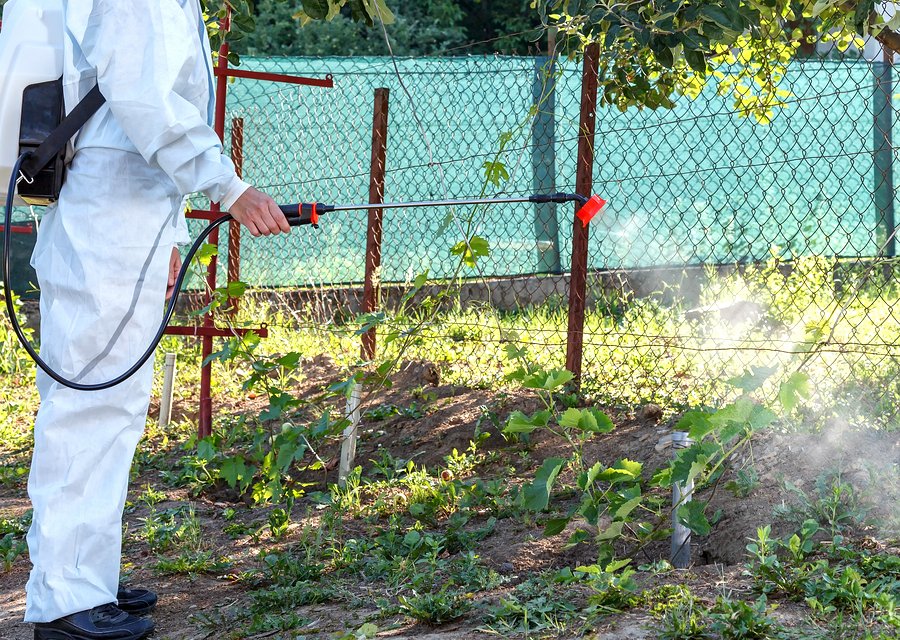 Pest treatment in Chestnut Hill, PA