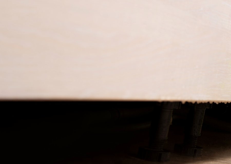 Pest treatment in Bloomsbury, NJ