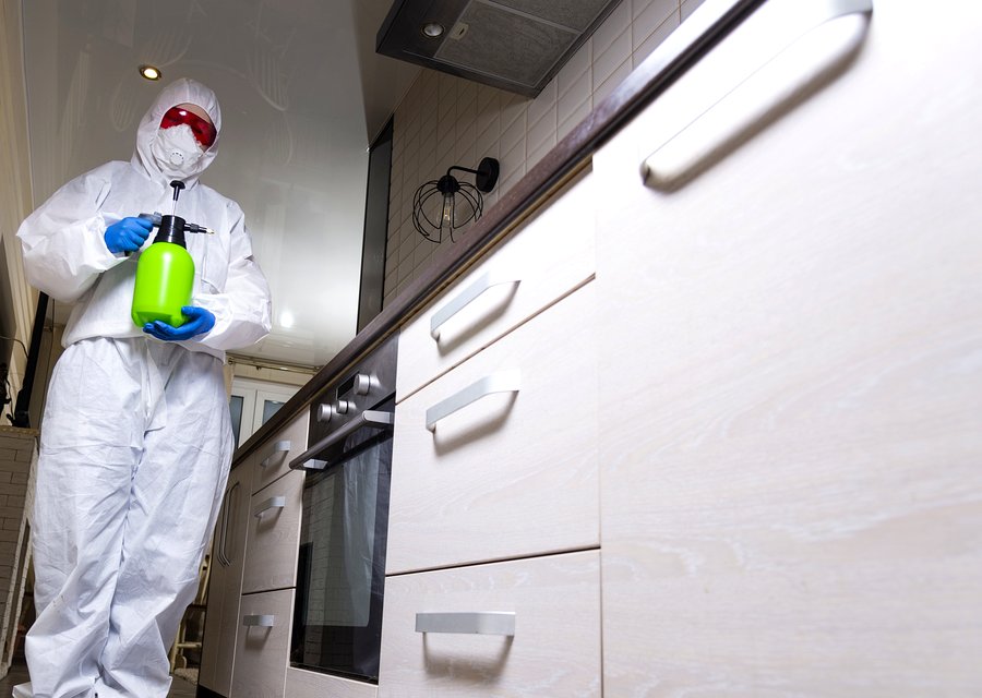 Creepy Crawler Pest Control pest control work in Glocester