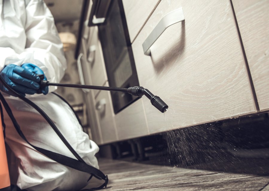 Midway Pest Control Services pest control work in Franklin