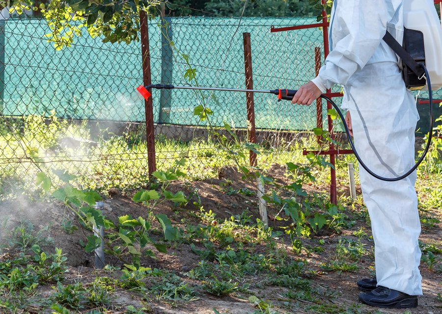 Guaranty Pest Elimination pest control work in Bellmawr