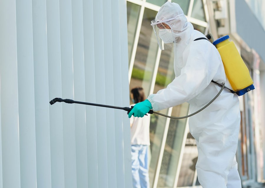 Pest treatment in Awendaw, SC