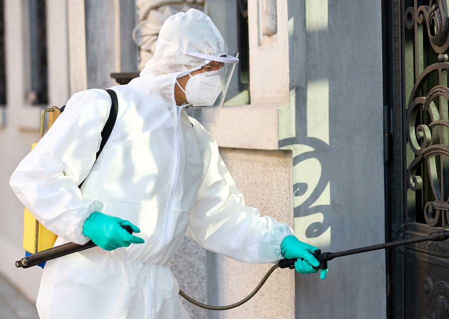 Pest treatment in Kinnelon, NJ