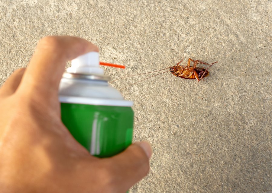 Pest treatment in Anaheim, CA