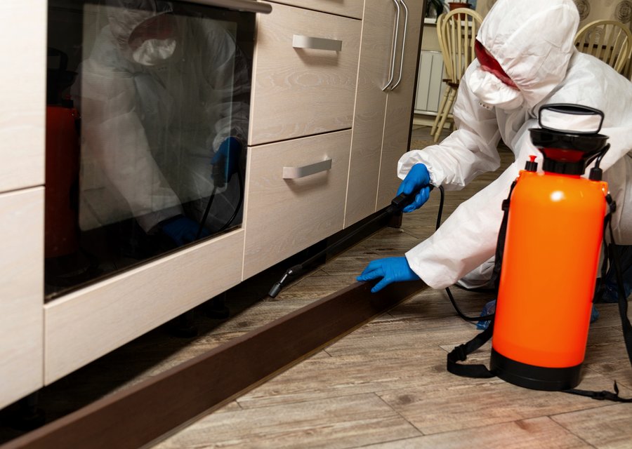 All-N-One Pest Control pest control work in Franklin