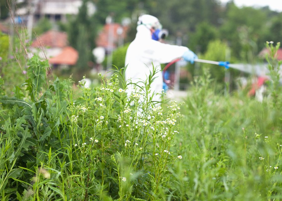 Pest treatment in Churchville, MD