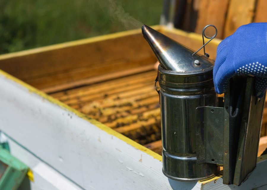 Local exterminator Churchville