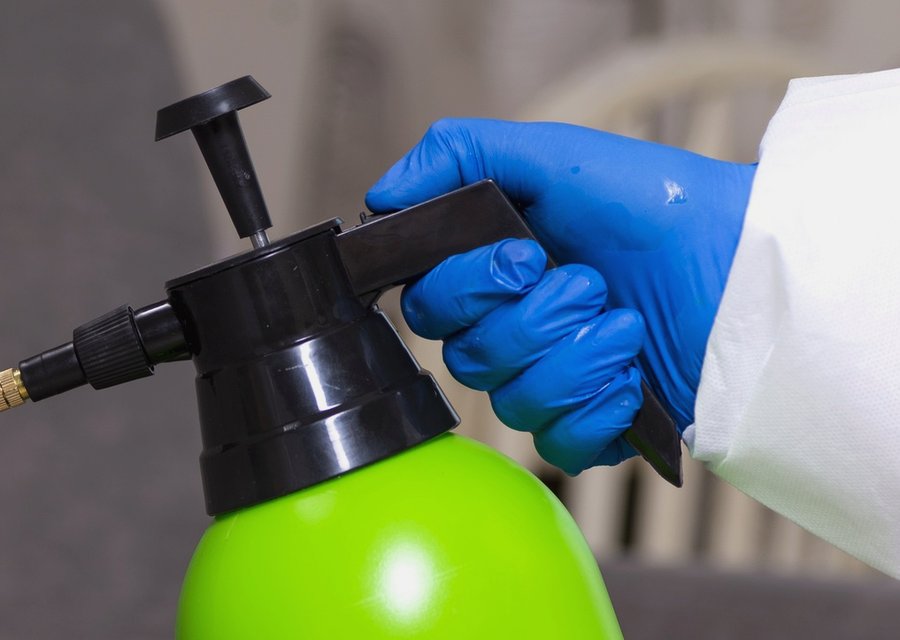 Pest treatment in Douglas, MA